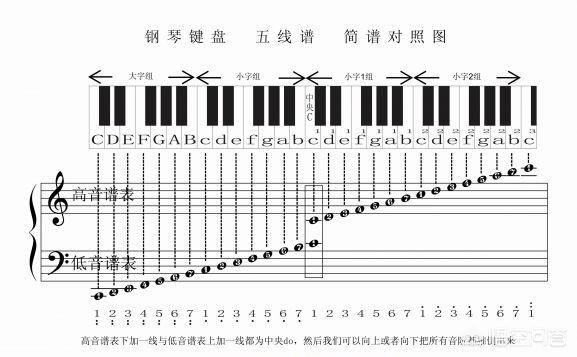 鋼琴簡(jiǎn)譜怎么看圖解