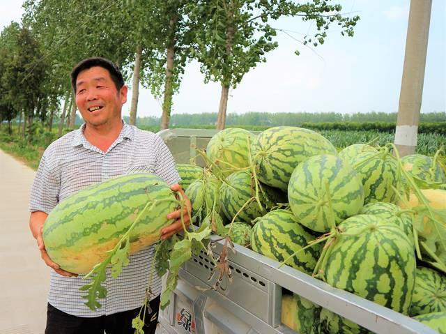 種什么最賺錢農村