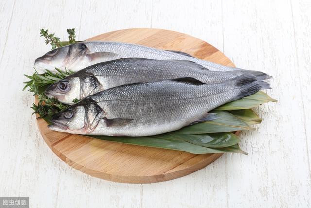 鱸魚(yú)產(chǎn)自哪里