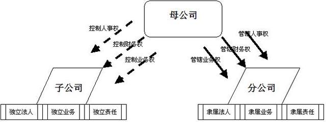 子公司與分公司的區(qū)別