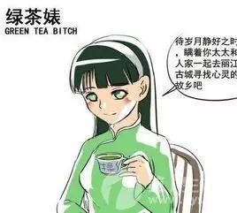 綠茶婊什么意思