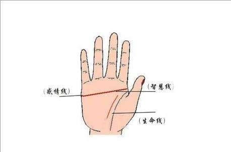斷掌是什么意思