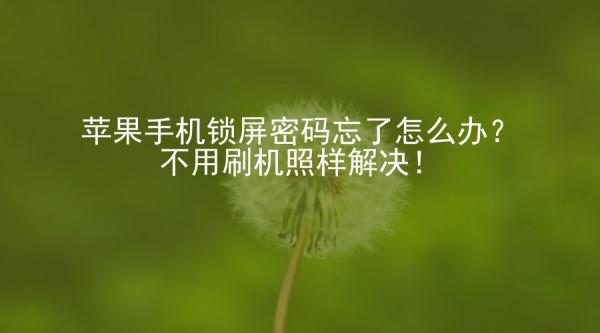40秒破iphone鎖屏密碼