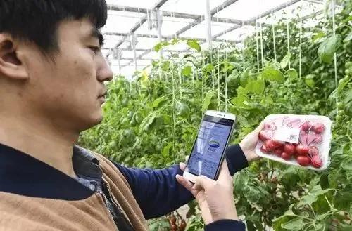 農業補貼項目有哪些