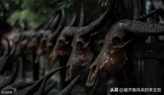 茹毛飲血的意思