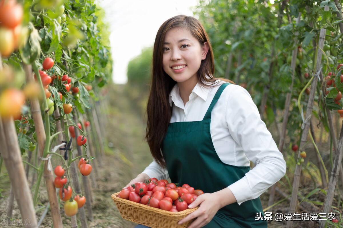藏在農村的暴利小生意