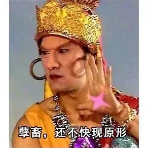 衣冠禽獸的意思
