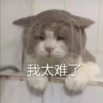 經(jīng)典文案范例格式