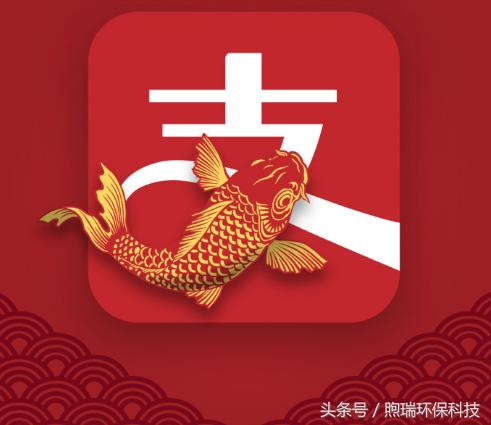 中國錦鯉是什么