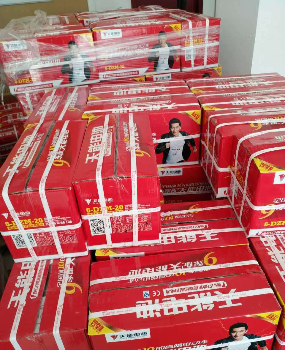 國內蓄電池品牌排行榜