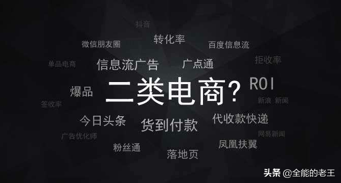 什么是二類電商