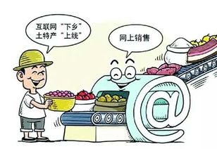 農(nóng)村電商：不只是賣貨