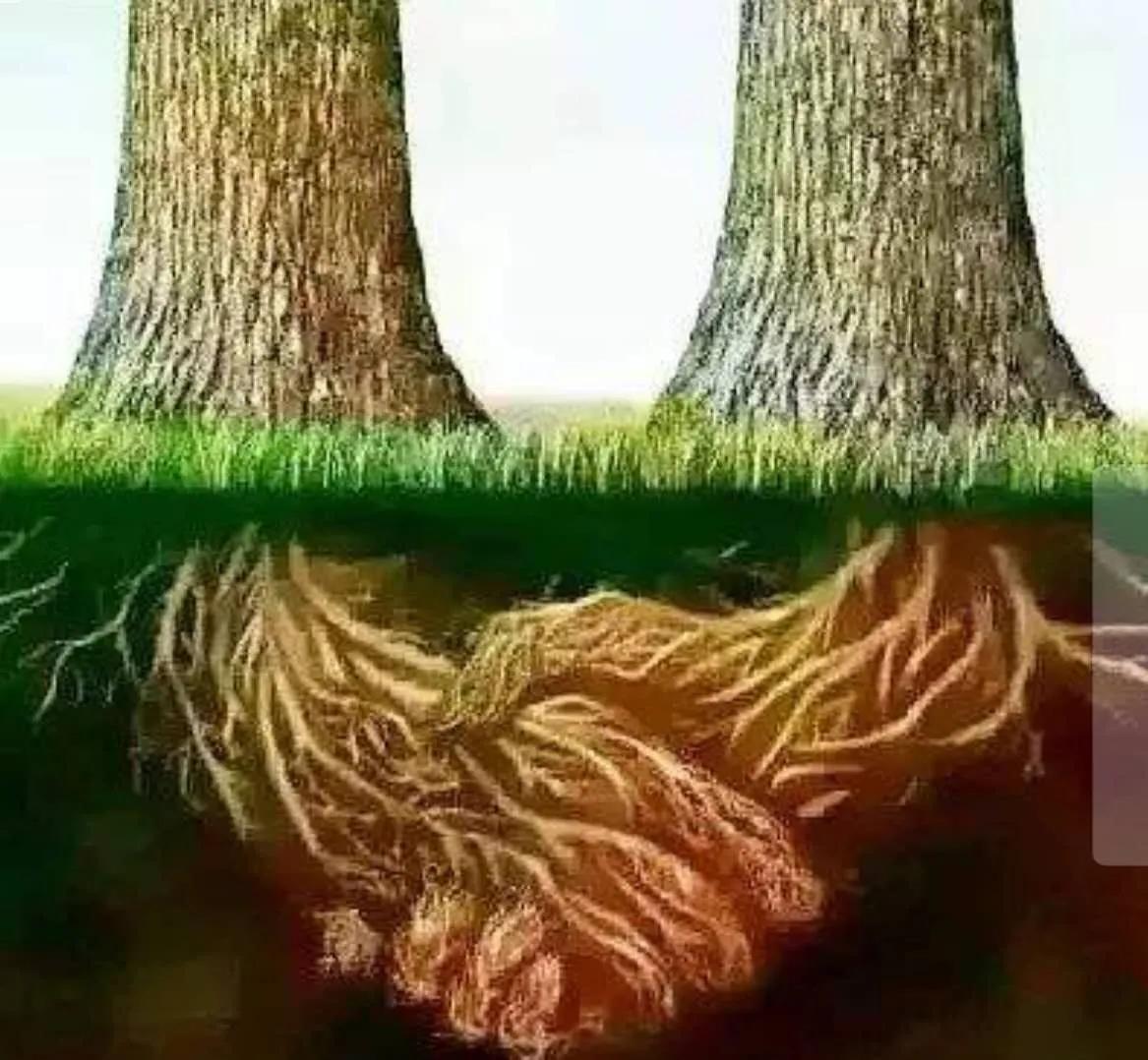 靠譜是什么意思