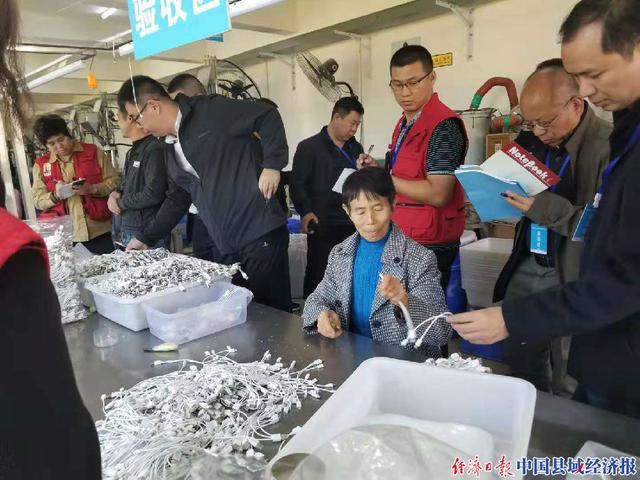 返鄉創業為鄉村振興注入強勁動力
