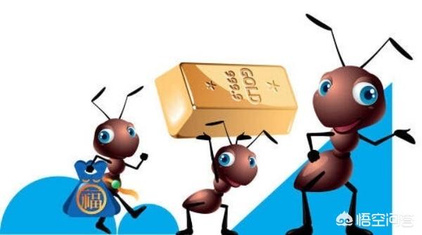 支付寶基金怎么玩