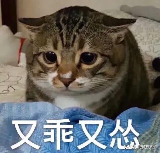 給賣家退貨退空包裹會怎么樣