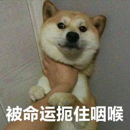 店寶寶開店靠譜嗎