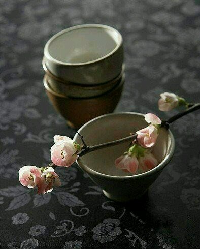 關于茶的唯美句子