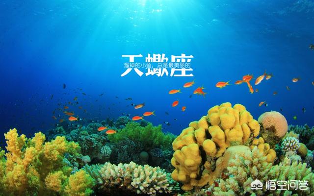 天蝎女喜歡你三大表現