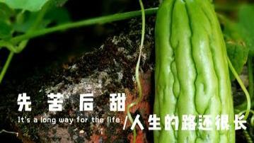 我開面館的真實經歷