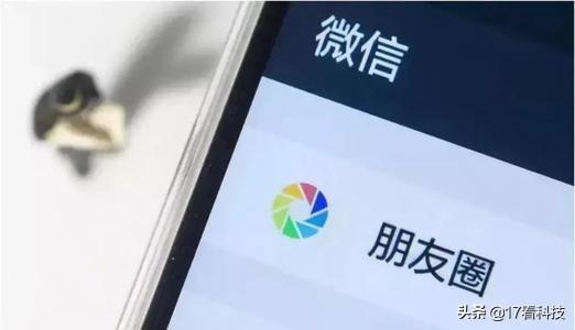 微信好物圈會成為它體系內的小紅書嗎