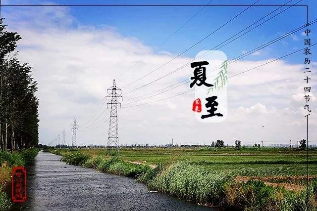 牛虻是什么蟲子