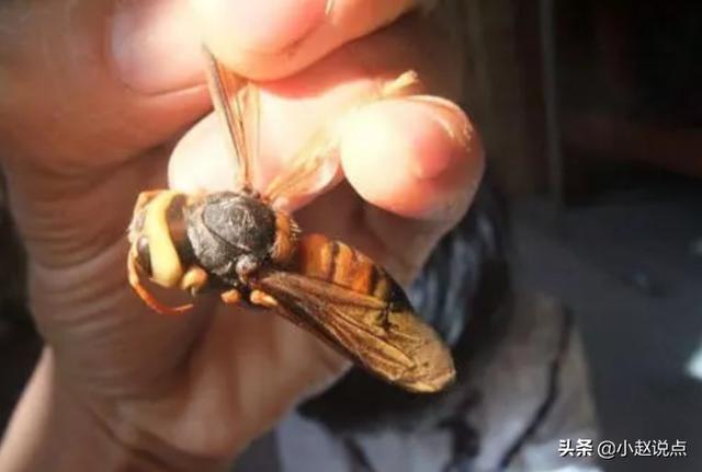 79個偏門小生意