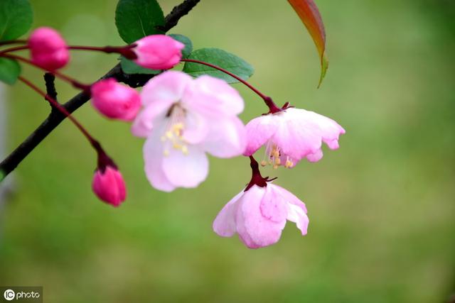 在農(nóng)村做什么生意好