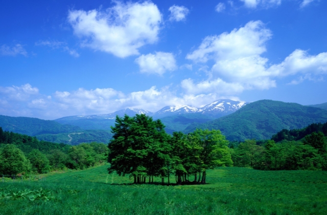 寫天藍(lán)的唯美簡短句子