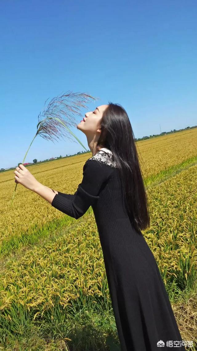 含蓄幽默的表達我想你