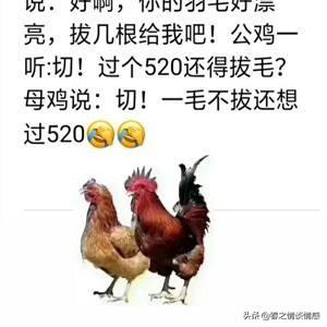 不給你花錢卻總說愛你