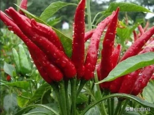 2021年物價(jià)為什么這么高？