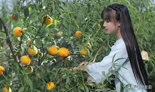 網紅李子柒做泡菜被韓國網友抵制