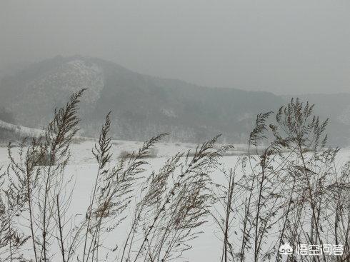 風雪夜歸人比喻什么