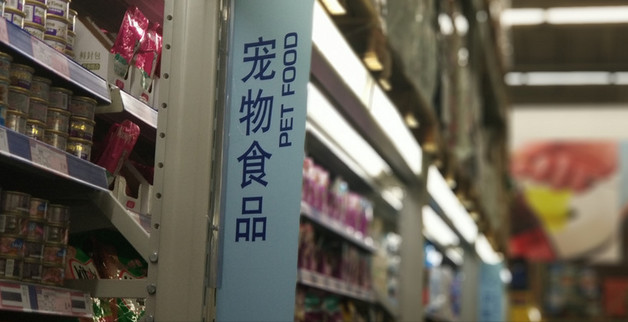 魔獸獵人寵物技能