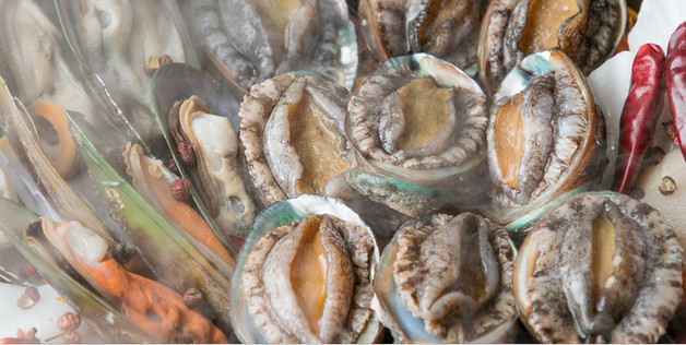 十大鮑魚品牌排行榜前十名