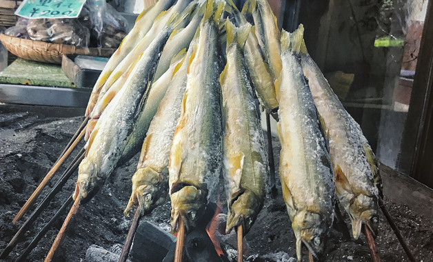 收集的魚類有什么用（錦繡未央手游怎樣釣魚）