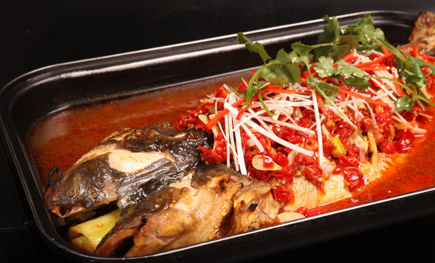 白狗魚養殖方法 白狗魚如何養殖