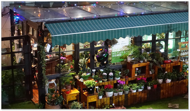 花店買回來的花怎么養