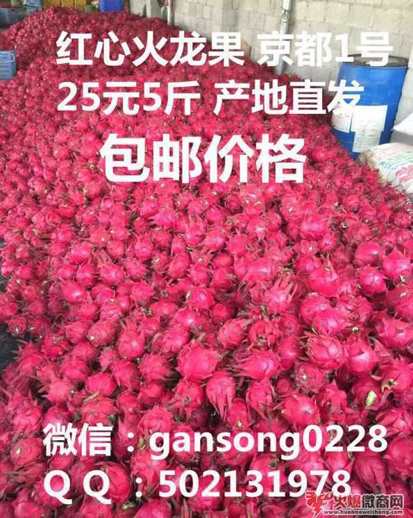 微商水果一手貨源，產地直銷，一件代發(fā)