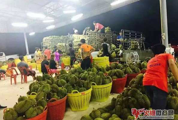 微商水果一手貨源，產地直銷，一件代發(fā)
