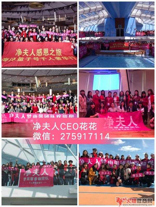 2019十大微商比較火品牌 凈夫人