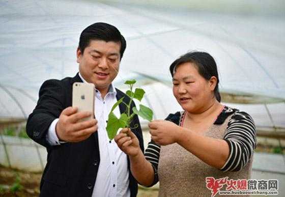 33歲農民成微商網紅，直播一小時賺2.7萬元
