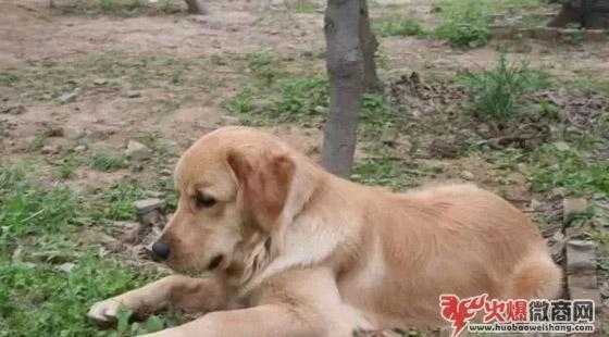教你如何做微商，日賺500元！