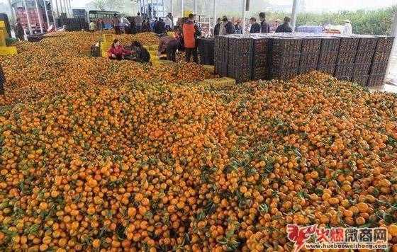 我選擇做微商的七個原因