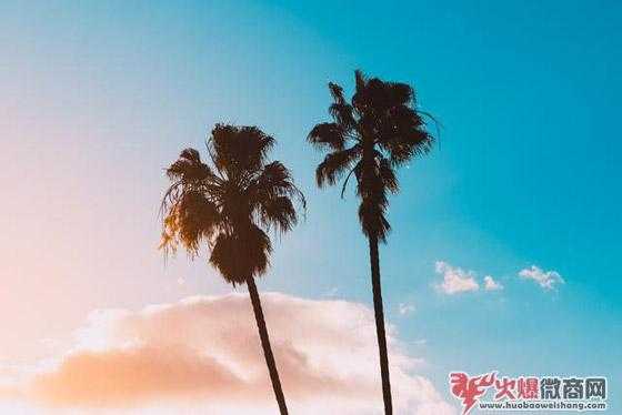 成功的微商具備哪些條件
