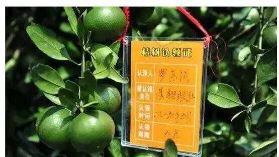 怎么在微信賣農(nóng)產(chǎn)品？