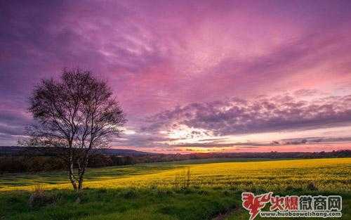 2019最新微商銷售方法和技巧大全