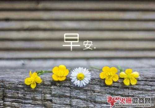 微商如何塑造一個有魅力的朋友圈?