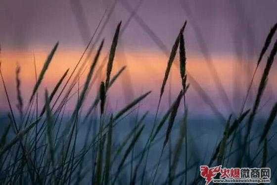 失敗的微商，大多數原因出在哪？